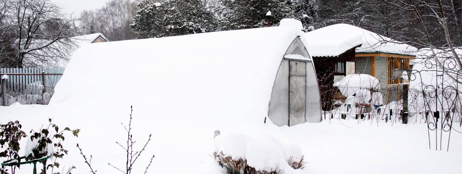 Protect tender plants and shrubs